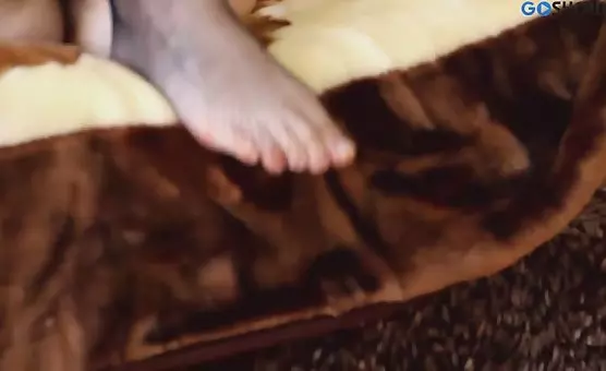 Girl Sucks Her Own Toes and More  Erotic Toe Adventures